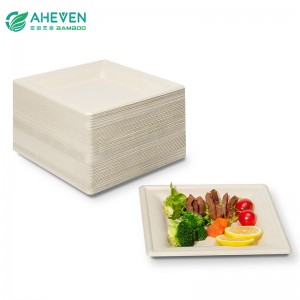 Bulk Packing Sugarcane Bagasse Disposable Square Plates in 7 inch
