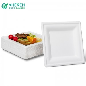 Wholesale Environment Friendly Disposable Bagasse Square Plates in 9 inch