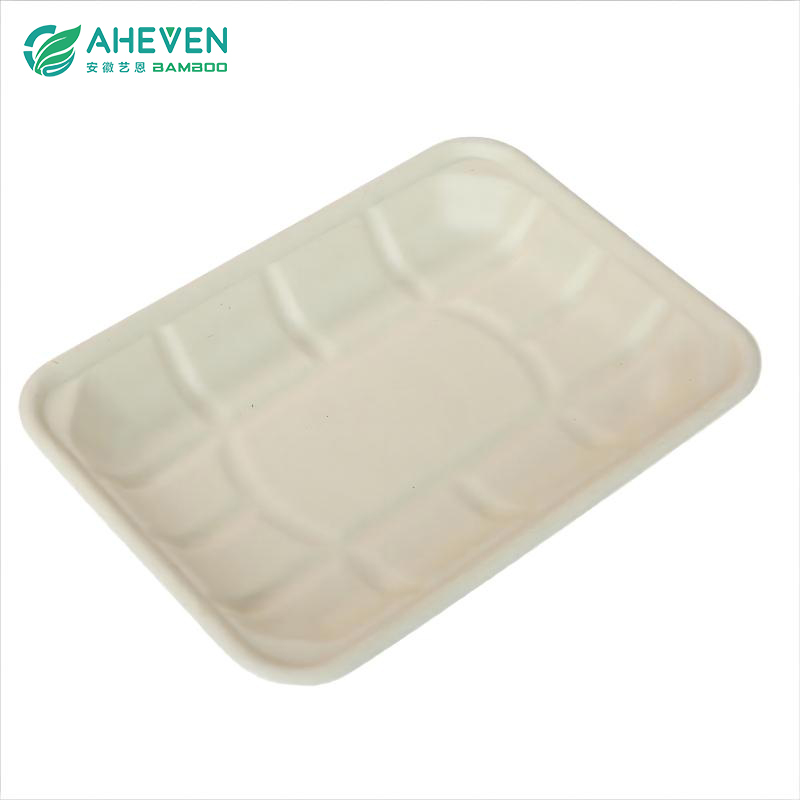 Market Biodegradable Natural Disposable Sugarcane Bagasse Food Tray Featured Image