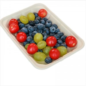 Factory Directly Eco Friendly Food Trays Sugarcane Meat Tray for Supermarket