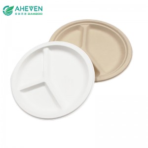Factory Cheap Price 10 inch Biodegradable Plates With Compartment Bagasse Plates