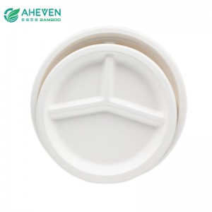 Factory Cheap Price 10 inch Biodegradable Plates With Compartment Bagasse Plates