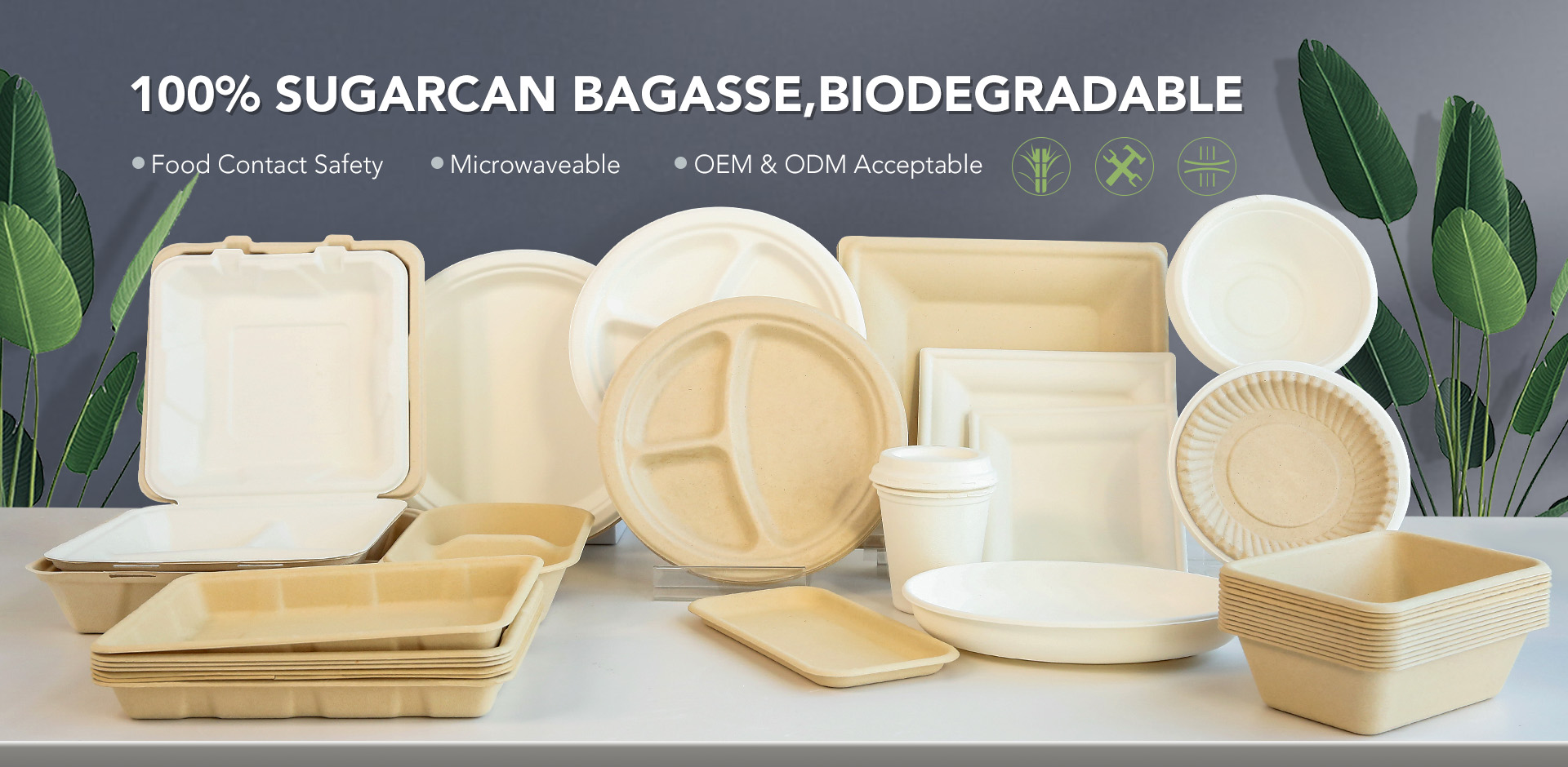 banner - bagasse products
