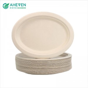 Oval Shape Sugarcane Bagasse Disposable Square Plates in 10 inch