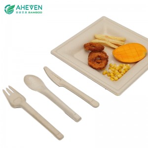 Easy to Use Hot Sale Bagasse Disposable Spoon Fork Knife Set