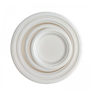 Wholesale 9 inch Biodegradable Disposable Plates For Hot Food Use