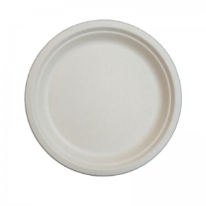 Wholesale 9 inch Biodegradable Disposable Plates For Hot Food Use